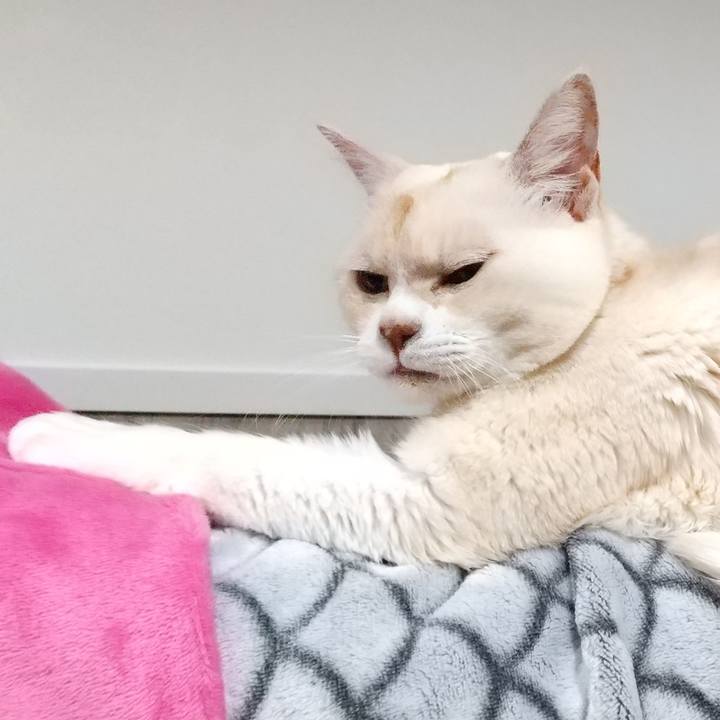 4b629957 cc32 4b5e 8c80 1e7702d52a3f 1584964988462