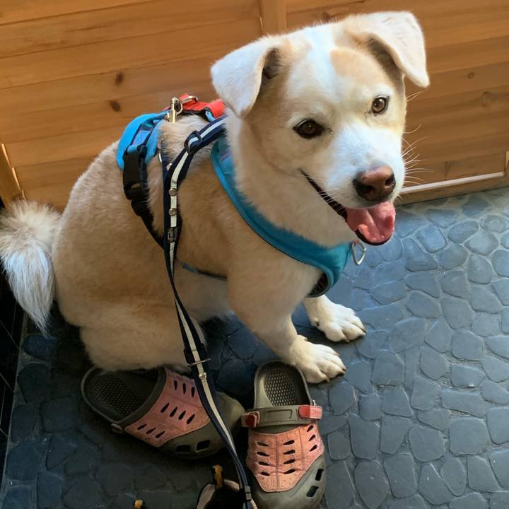 4b629e60 c5bd 4caa 9802 4fe9a5370bf4 1661565032681