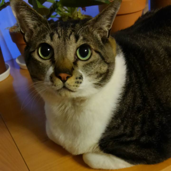 4b62fb19 2636 46a0 8578 aa72d622d8f8 1520772846434