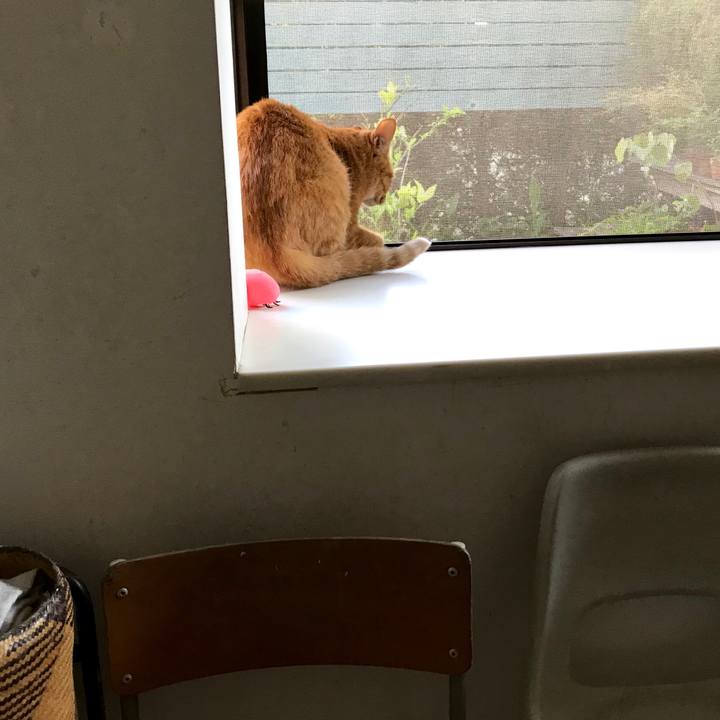 4b63e376 bf30 44ab a501 0379b6187d3e 1558772051288