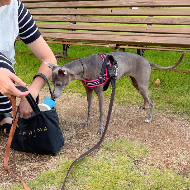 4b6406ef b0db 49d5 aa37 152da0b0cc5f 1760703295676