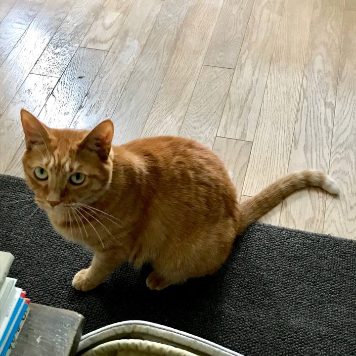 4b64254c 4dff 4895 b322 b55e95a349be 1556587344399