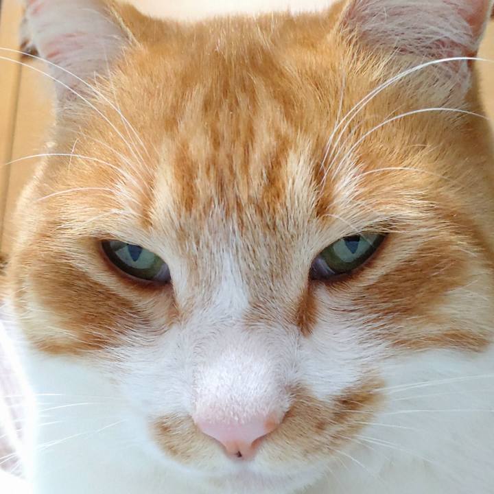 4b64501c 87d6 4b1b 9120 bf860b3c71e6 1773472013878