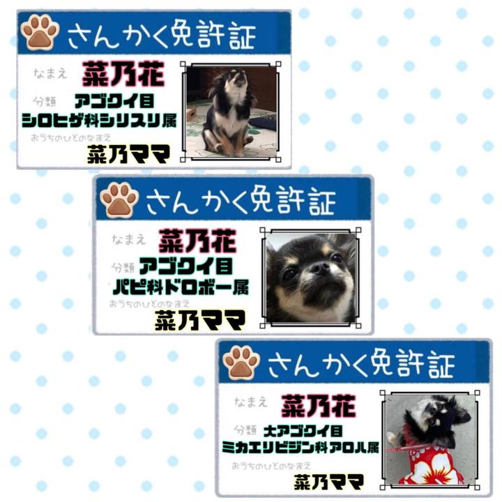 4b646b63 d525 4d2a a84c e798ca8ee82d 1659769054570