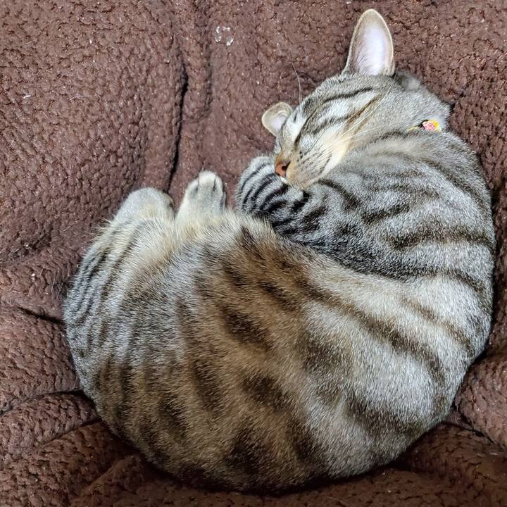 4b64f4c4 8a78 413d a49c be0ce3c3a7f5 1700321737385