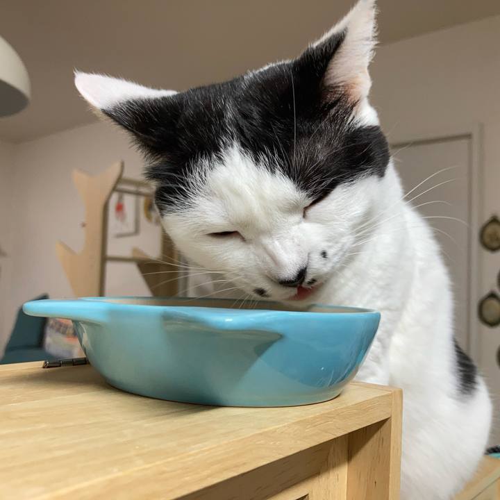 4b64f565 498b 48f8 9c44 21b98c9cc8c3 1759695085843