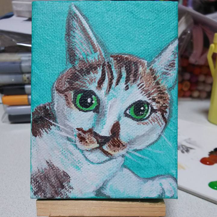 4b650cd3 b742 41f1 a9b2 52f6759e314d 1549778152332