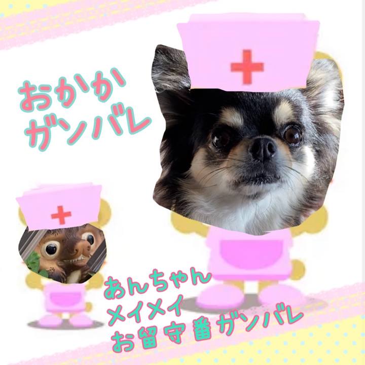 4b6524f8 ed9e 4759 846c e705e0b27cd2 1641795301331