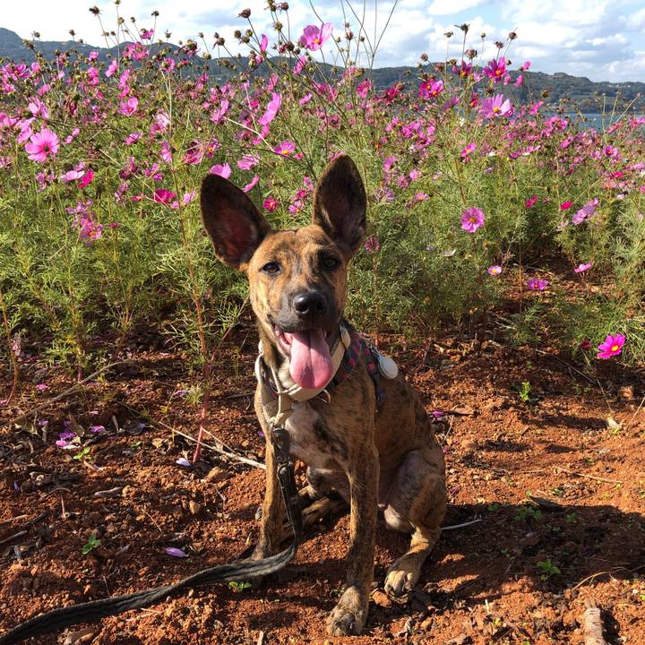 4b6527f9 2808 4346 89c6 63bb13156124 1573710774959