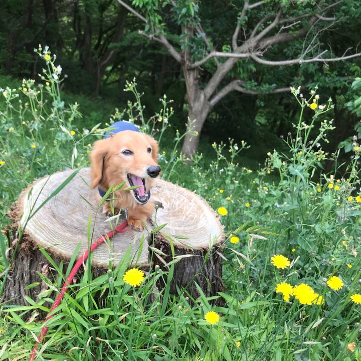 4b652cfd c2e1 4990 bad6 56f1d6d6ee2a 1588988710121