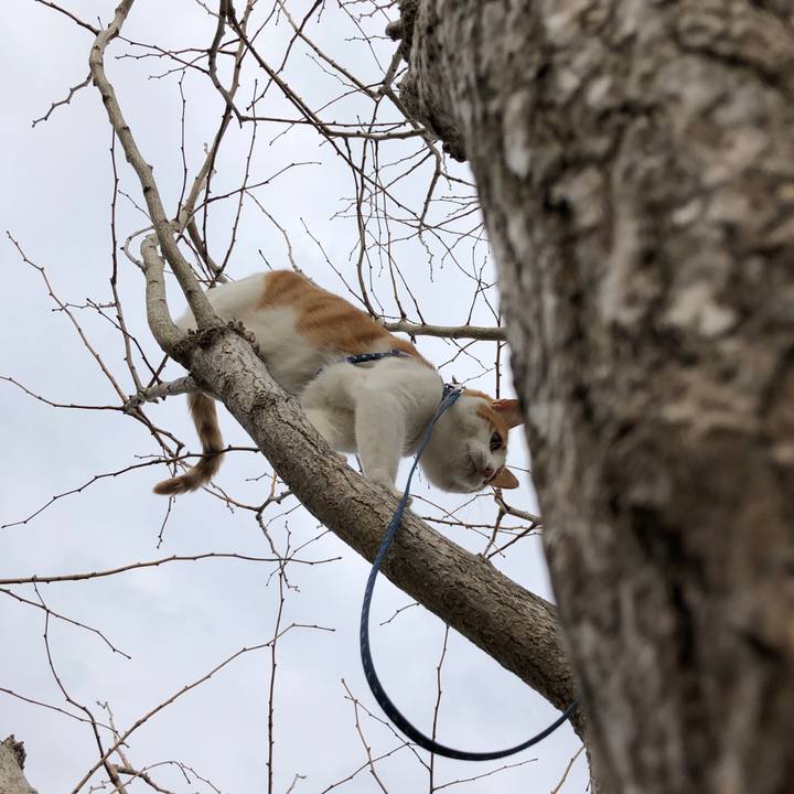 4b655d9c 8d98 48ba 81da fe1bfca8288f 1548225722807