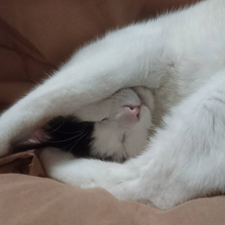 4b656b7d 2ad9 4e5a a416 96022c5ec318 1522496635346