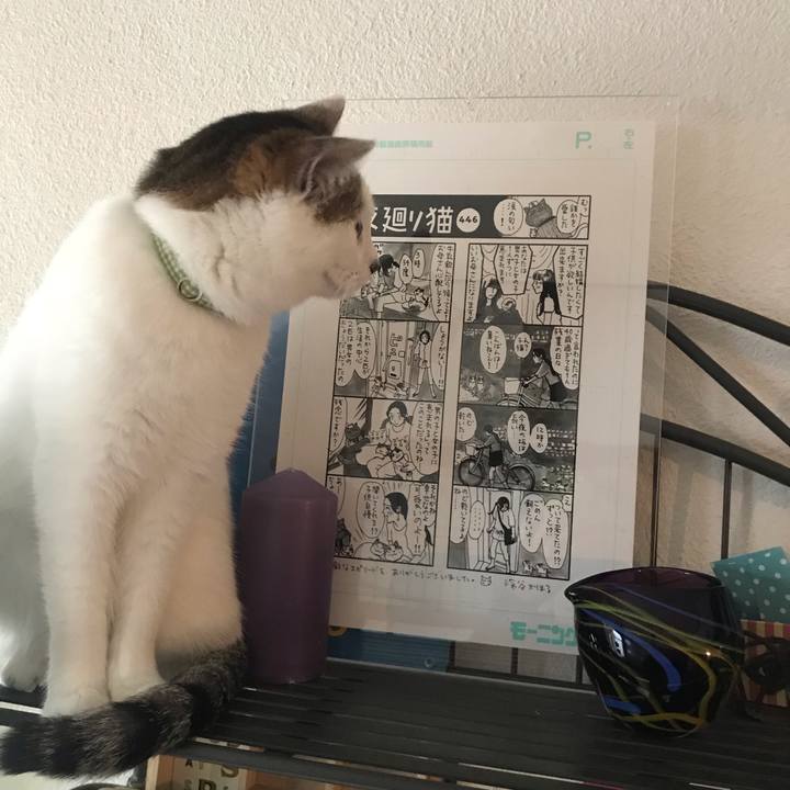 4b657059 58b6 4644 9a81 a074c54c412e 1550774726645