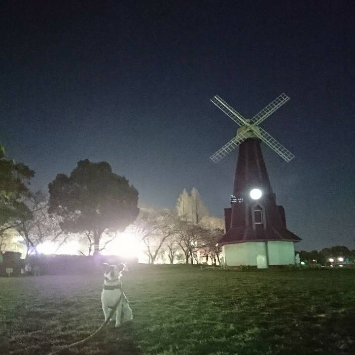 4b658157 e3ae 46da ab73 0795b3b4a183 1521971286922