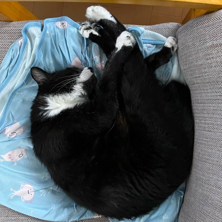 4b659066 c40d 4dc7 bb6a 5281af299ec3 1760510065860