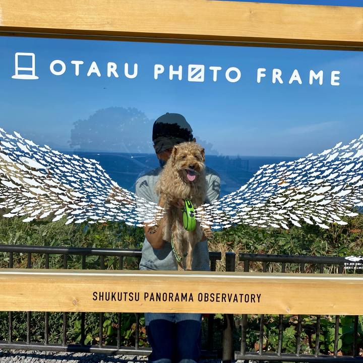 4b659323 dde9 49e9 8fd9 291c32b044e1 1631321175271