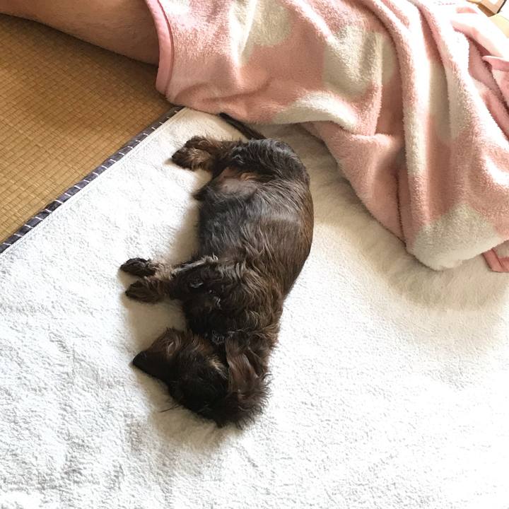 4b65d5f5 d775 4ca6 b364 ed490bc0af10 1556931065146