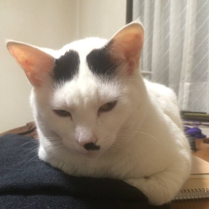 4b65d6ec 7fd7 45b6 823f e9030d8326d9 1525865898414