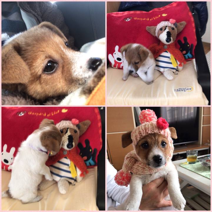 4b65da90 4a0b 42d1 bd2b 4eb24f989577 1543213943816