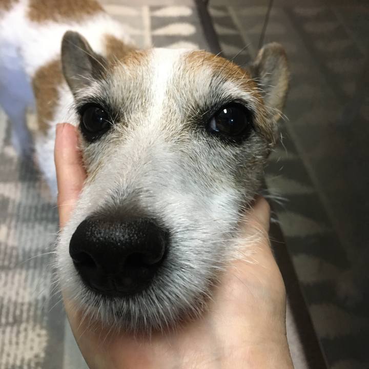 4b661330 f7a8 4eda bd66 0d3e31770974 1658445785541