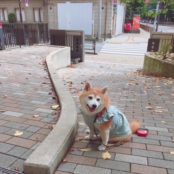 4b6623fa 56e9 46f9 81ab c89890ec3134 1537073181394