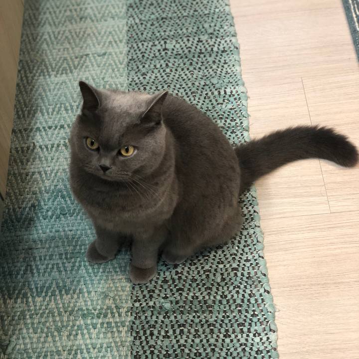 4b664370 d458 4086 b042 0e917fc00313 1553224412207