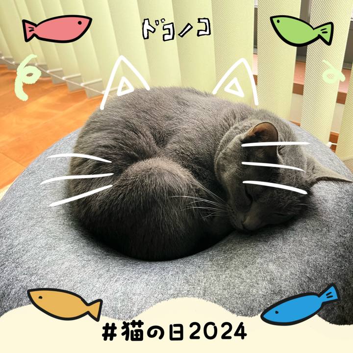 4b66799a 76fb 4988 be76 3a8a85902193 1708553444933