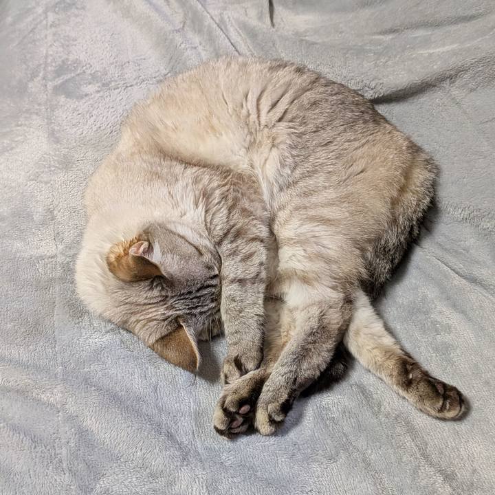 4b667c2e 4ca3 4b50 8a88 35edad04ff11 1771855646015