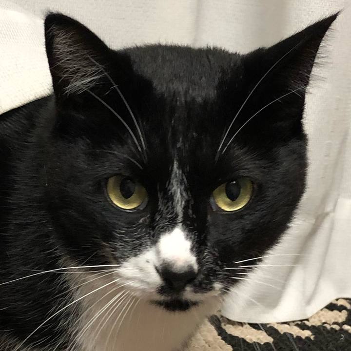 4b66e2f0 6335 4972 949b a8eb58dd6ec2 1572667479429