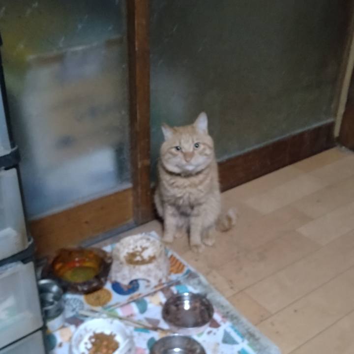 4b670f61 0f32 49cf bccd d1c2cb230cab 1669847963572