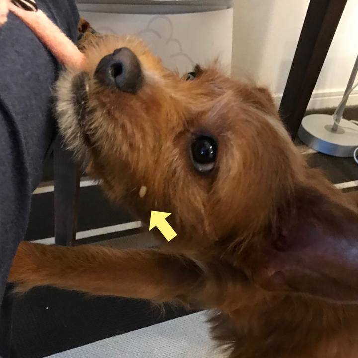 4b67374f 0bd9 4e4b 9f9b 32bfb9d404f7 1563232532166