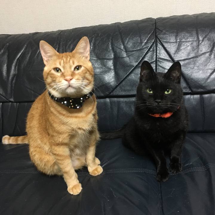 4b675e2d bcbe 437f a438 3d1f5313debe 1538296769542