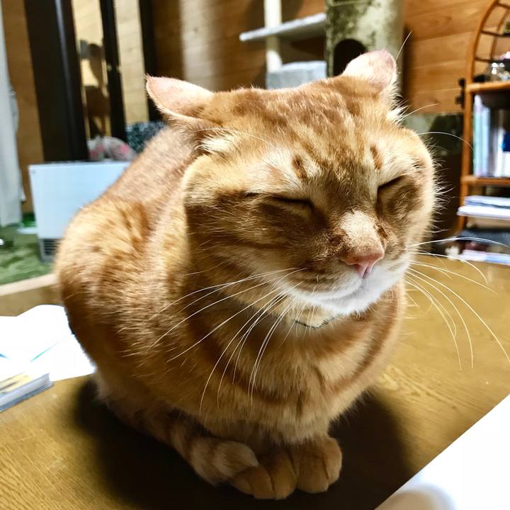 4b67b32d bf9a 42bb 8baf 06658adbb69a 1516968495444