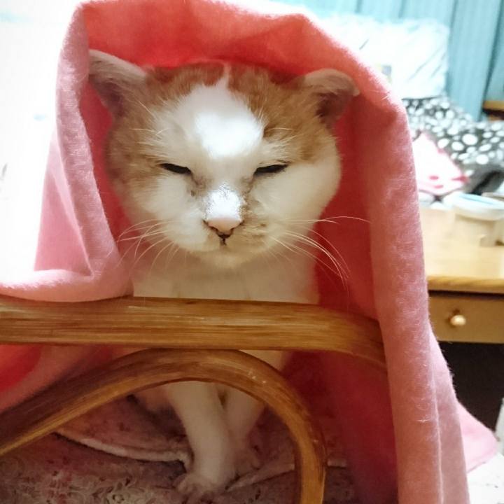 4b67ca25 f424 4fdc 8481 3c133dc60462 1577538462799