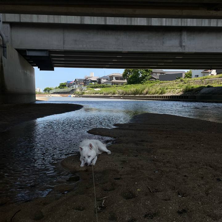 4b682829 f51c 4f19 99d1 ebbddaf4a6b7 1714704165969