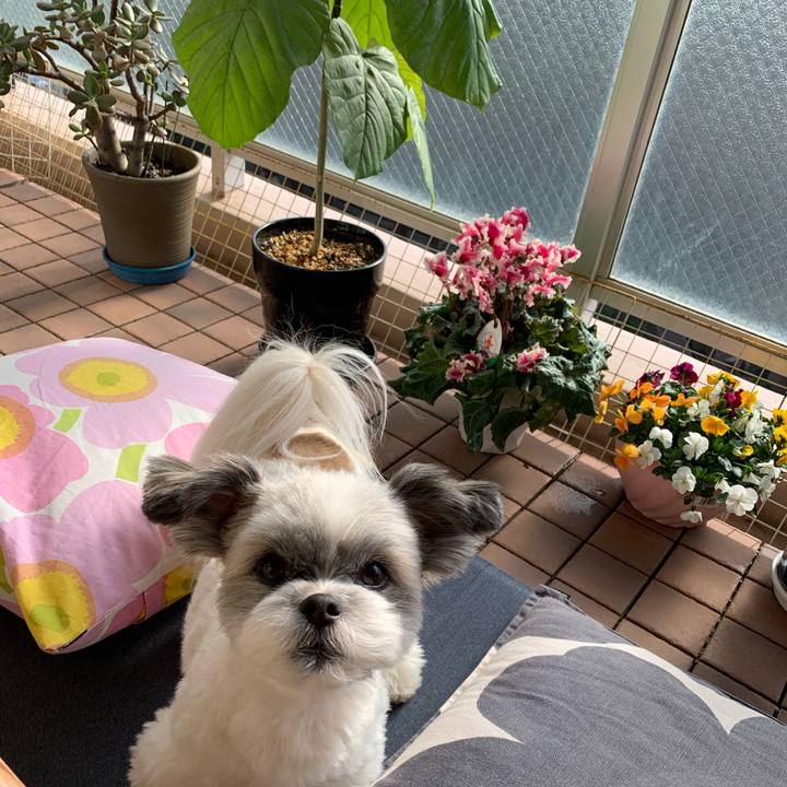 4b6861ac f80b 4af5 a6cb ec351bf26de7 1610775222735