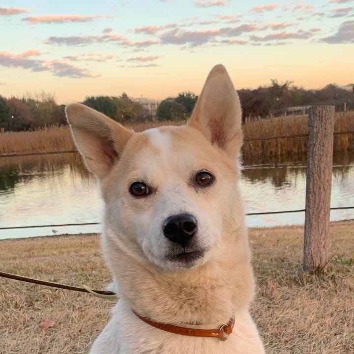 4b689a6f a788 47af 985d f22c171a085d 1701689678138