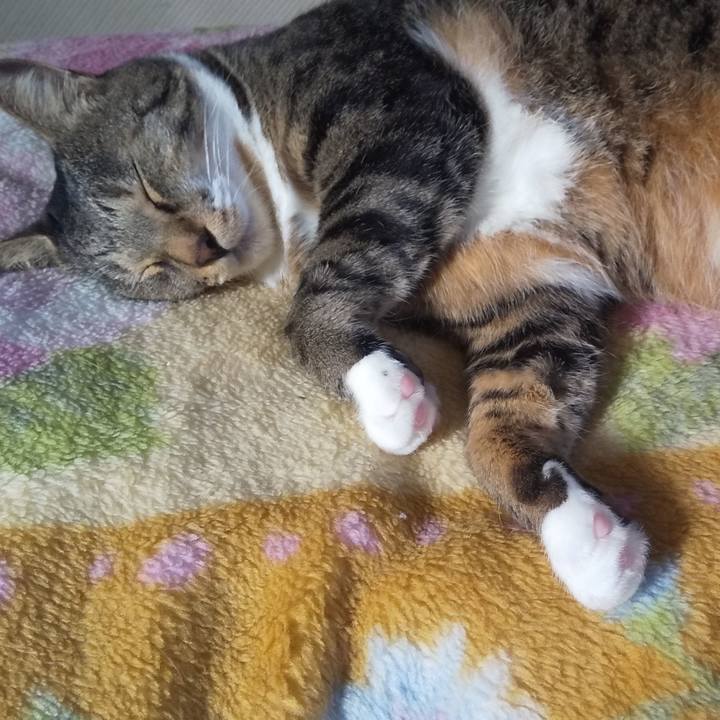 4b68b759 5086 44aa b82b 50afc2c6d986 1665897777160