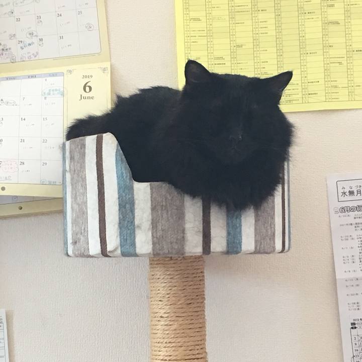 4b68bb88 8cf0 4529 84bd d42753ff446c 1560823120061