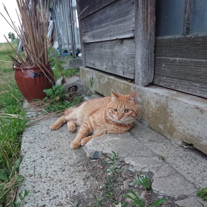 4b68c5d7 1ca8 45a8 9be5 6048a3113b12 1655980455209