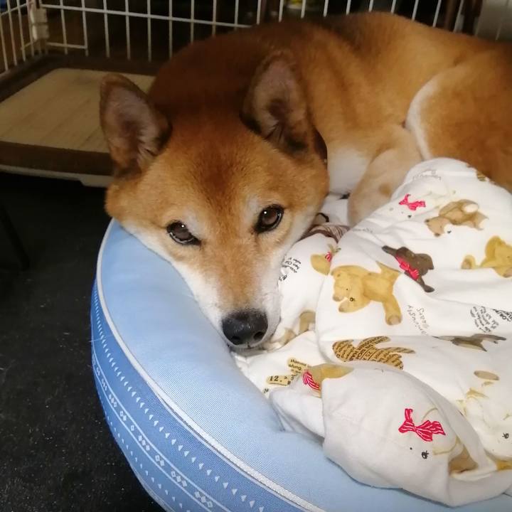 4b68c7d5 7d1c 46a3 b3b2 0ee78120744f 1633357594280