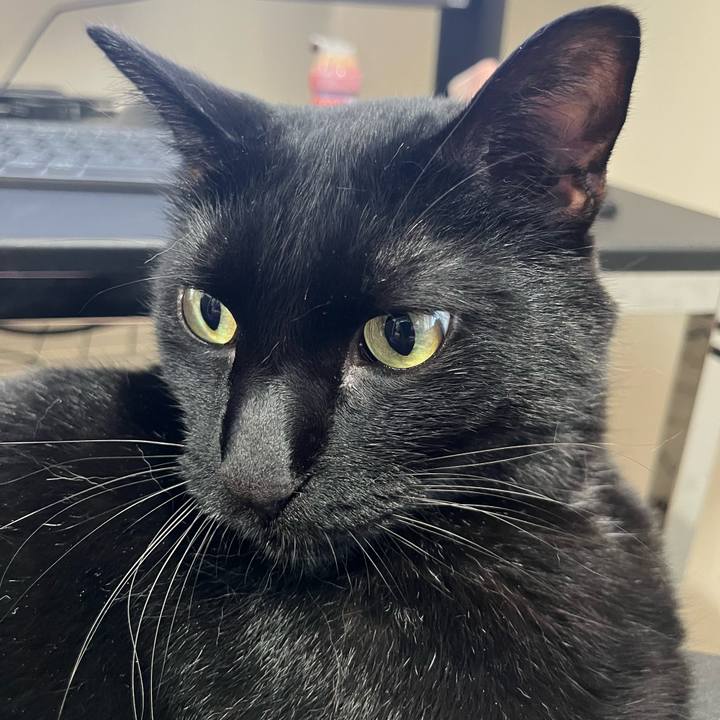 4b68d92e 151d 4606 bbb2 9e9990f464fe 1718669632496