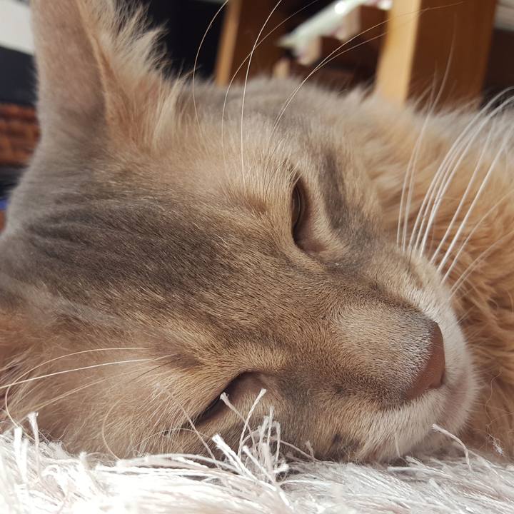 4b68eed2 370c 4126 bb01 91666329e5da 1584247689200