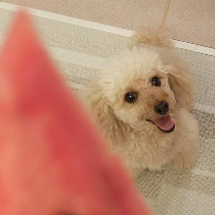 4b68fc0d f23a 45f2 8a63 095e7497eb18 1628074774022