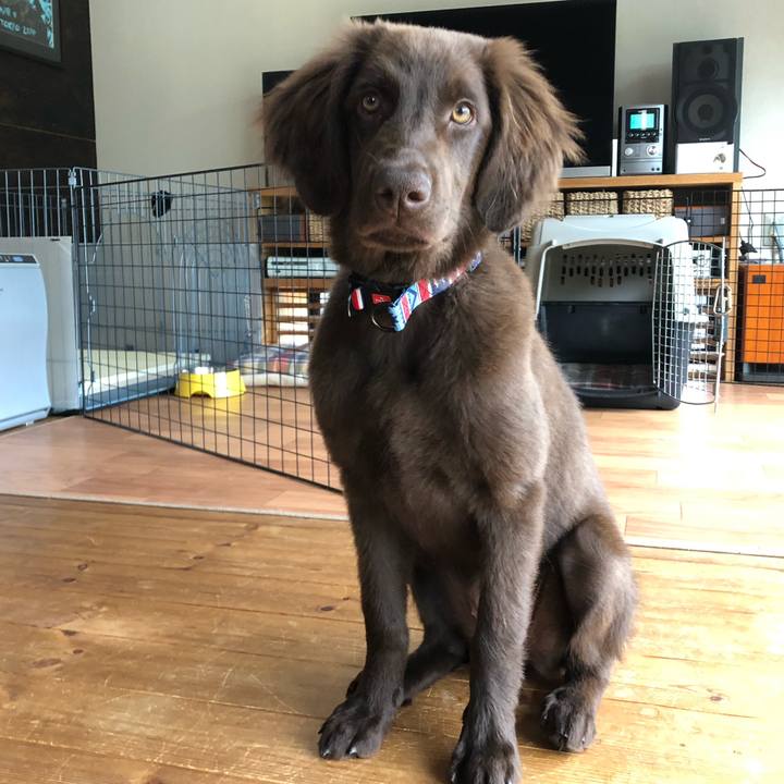 4b6955be 5cba 4b38 b652 cc5fda519b21 1557376905662