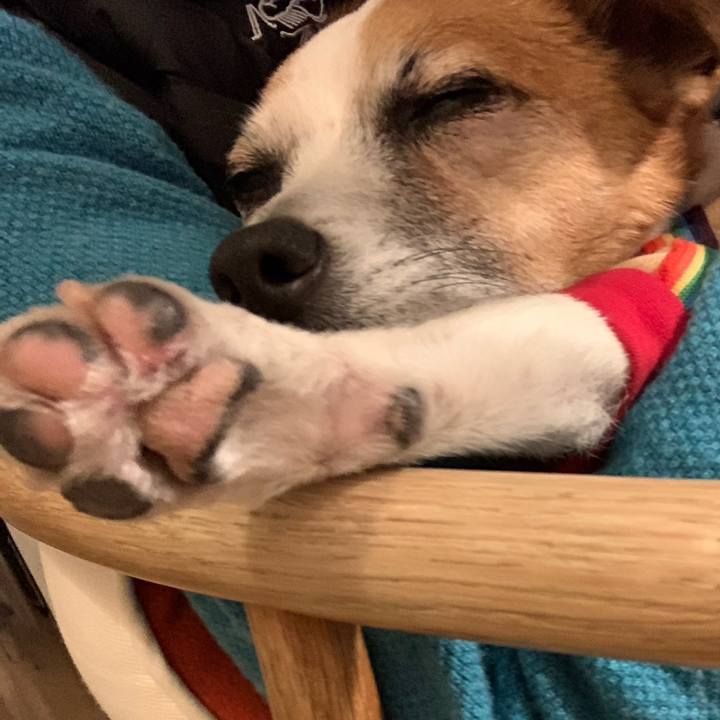 4b69828c b67f 4d4f 8f3d 02f451d11944 1646227131203