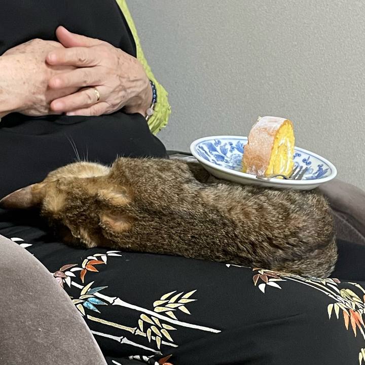 4b69873b b9db 4e7d 8564 22f0ab4f08ae 1713176439981