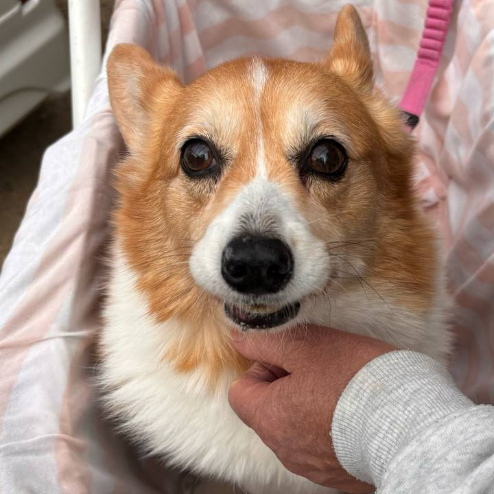 4b698d90 0c4c 46bb 9d91 938960629277 1763876057647