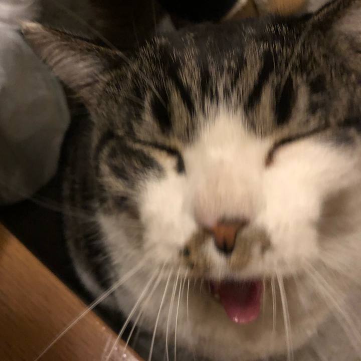 4b698df9 b231 49b4 a489 a7e7c64e872f 1548154166909