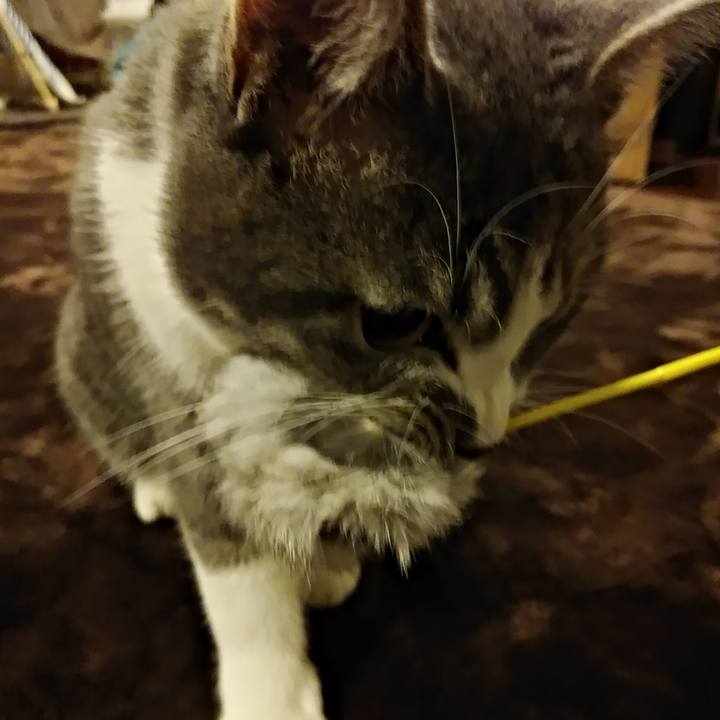 4b699054 b600 471f b9a1 55b7d716ece9 1573740947586